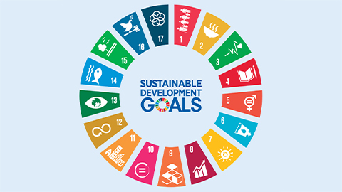 SDG Bonds: Their Time Has Come